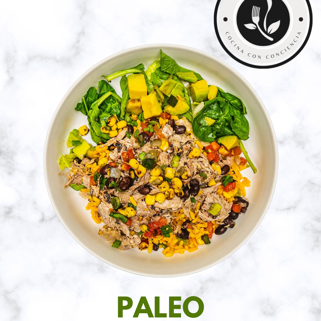 PALEO-3.png