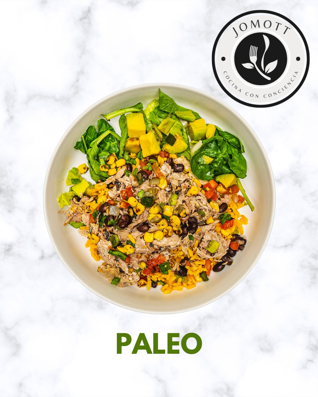 PALEO-3.png