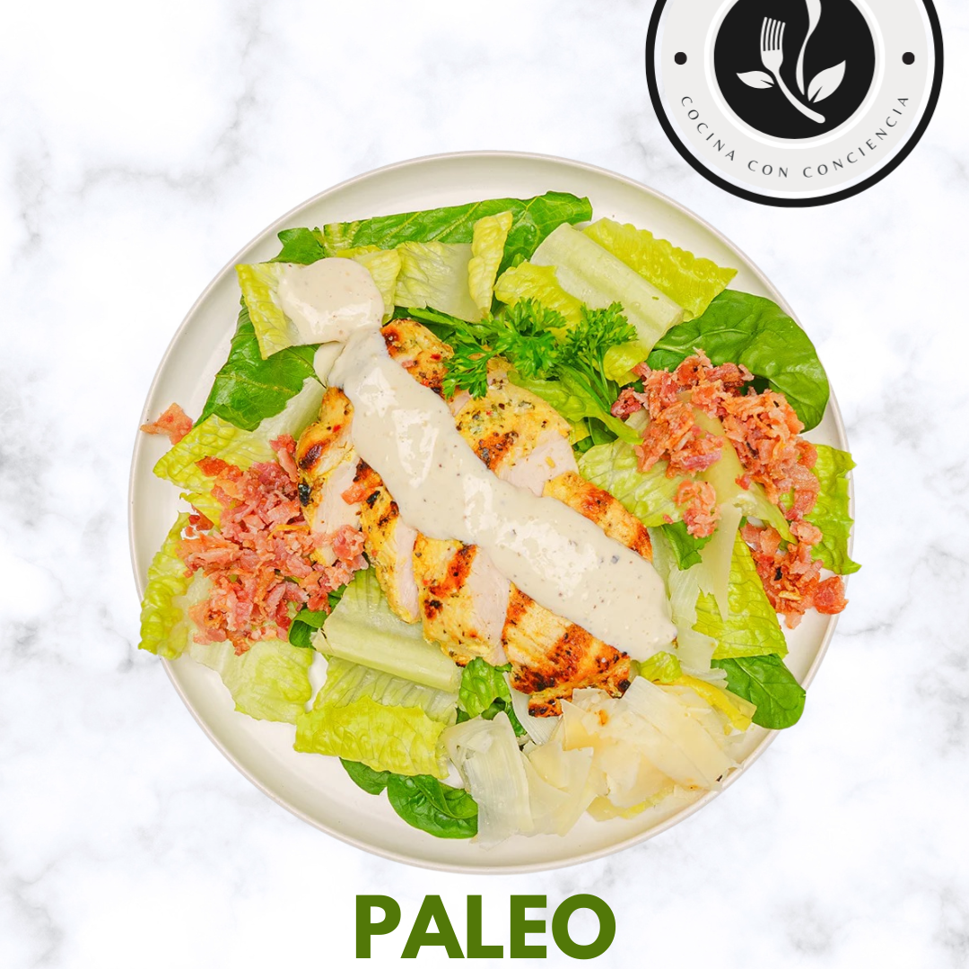 PALEO-5.png